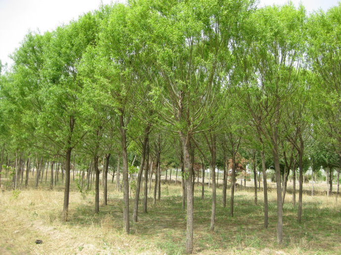 ԰ֹ˾1.jpg